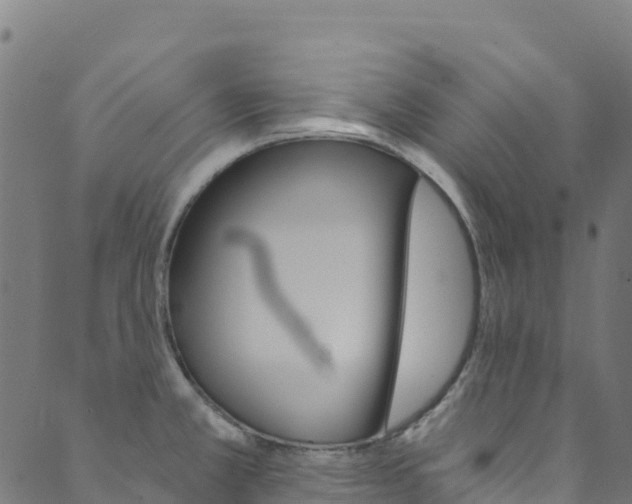 X0000089831381200706280928
