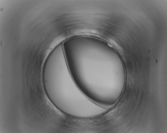 X0000089831384200706280928