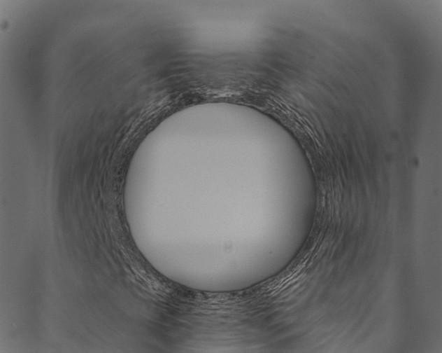 X0000089831393200706280927