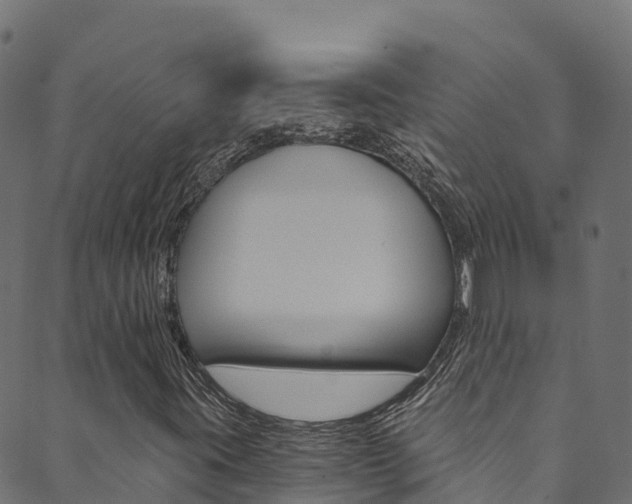 X0000089831395200706280927