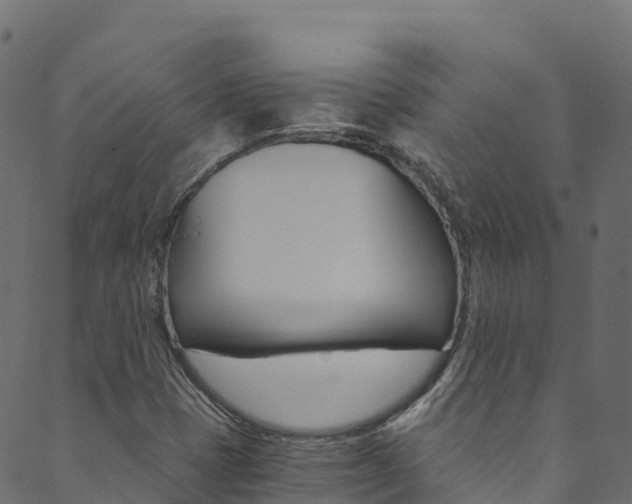 X0000089831401200706280927