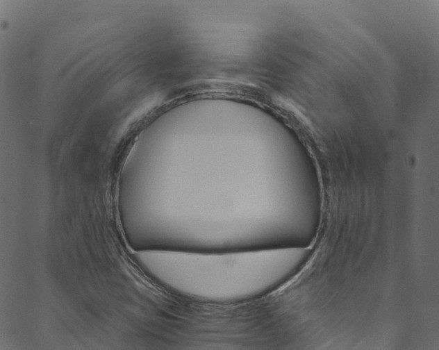 X0000089831403200706280927