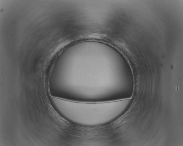 X0000089831404200706280927