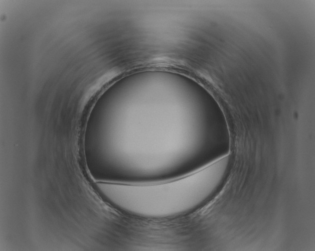 X0000089831410200706280927