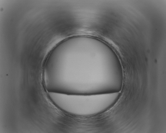 X0000089831415200706280927