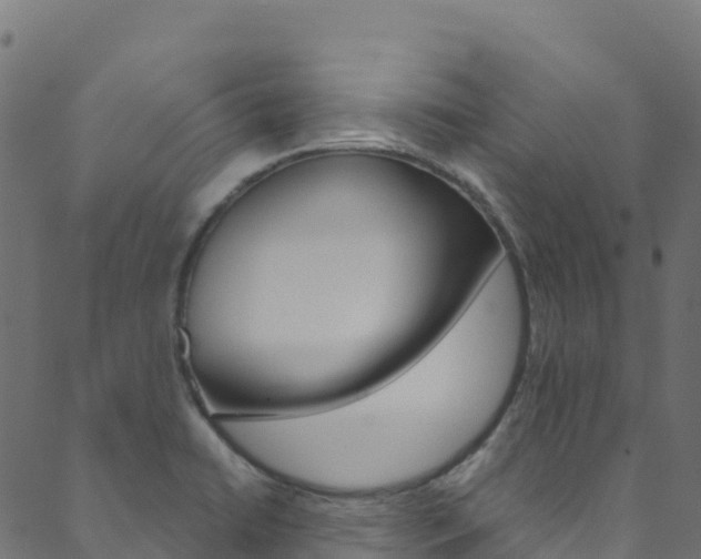 X0000089831422200706280927