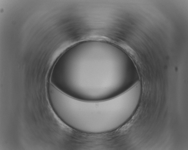 X0000089831430200706280927