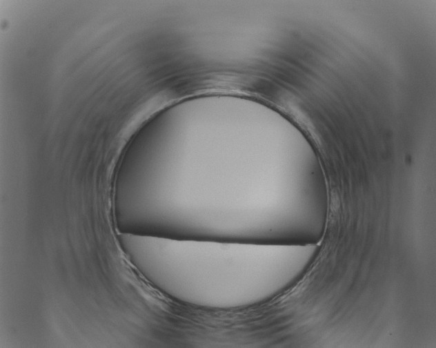 X0000089831435200706280927