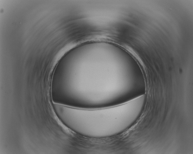 X0000089831437200706280927