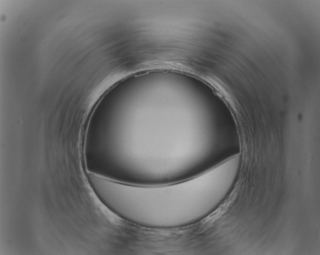 X0000089831438200706280927