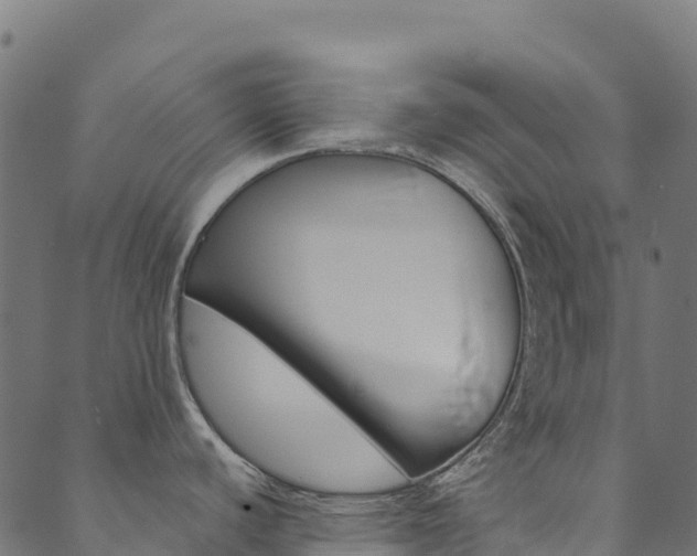 X0000089831440200706280927