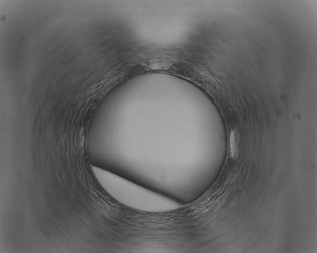 X0000089831443200706280927