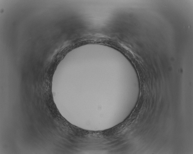 X0000089831447200706280927