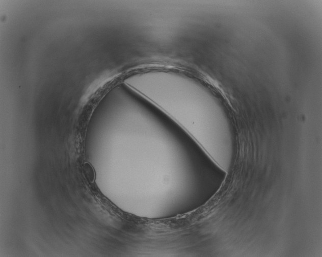 X0000089831448200706280927