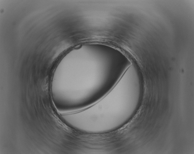 X0000089831450200706280927
