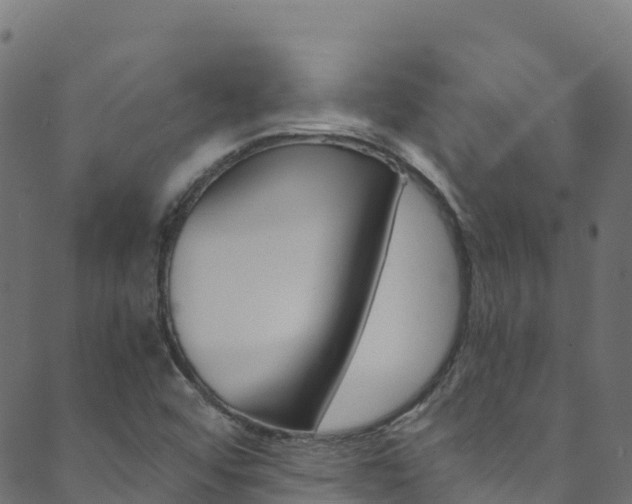 X0000089831456200706280926