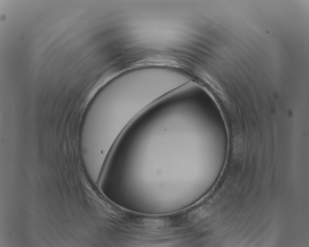 X0000089831465200706280926