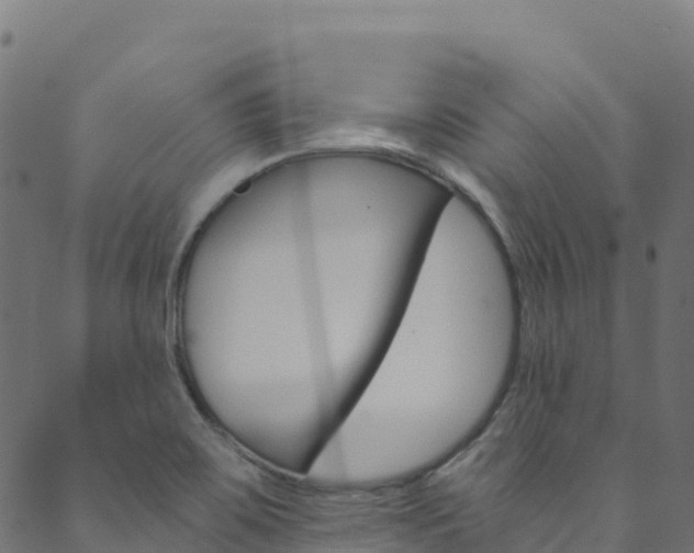 X0000089831467200706280926