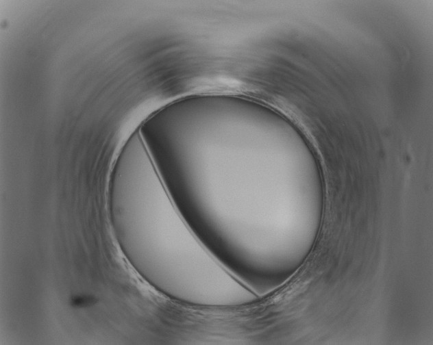 X0000089831488200706280926