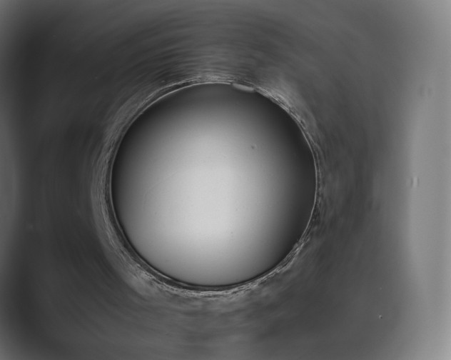 X0000089830001200706281220