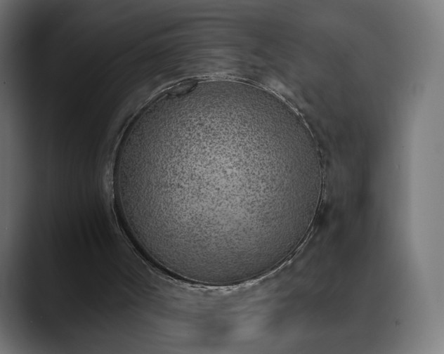 X0000089830002200706281220