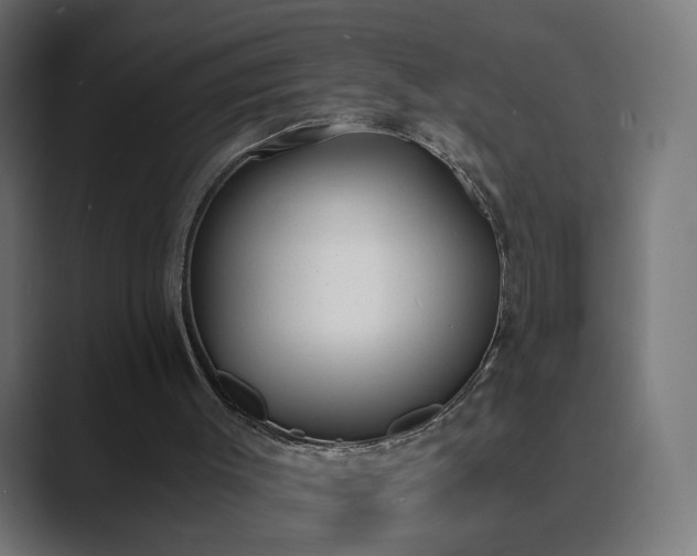 X0000089830003200706281220