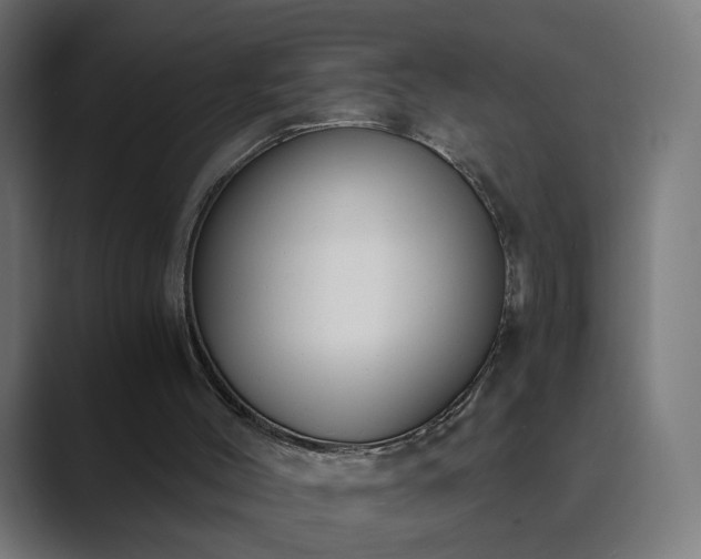 X0000089830004200706281220