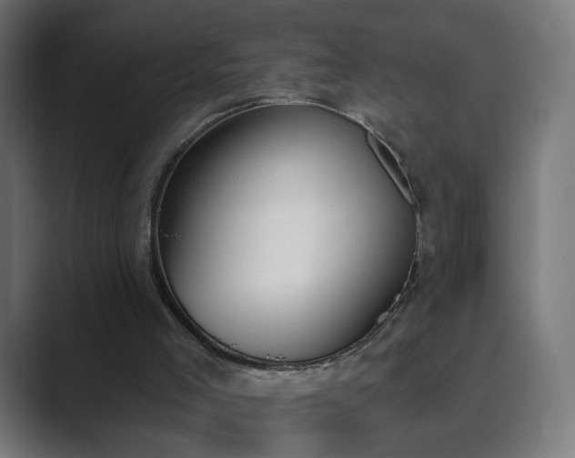 X0000089830005200706281220