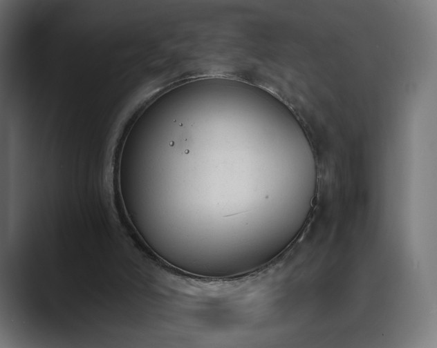 X0000089830006200706281220