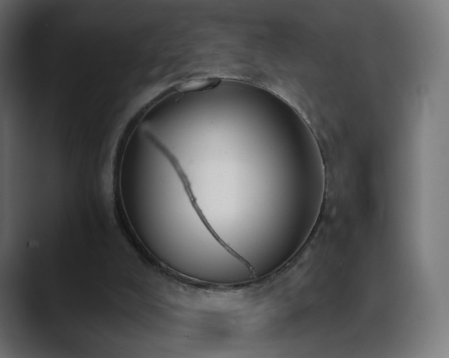 X0000089830008200706281220