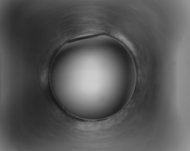 X0000089830009200706281220