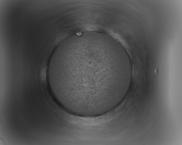 X0000089830010200706281220