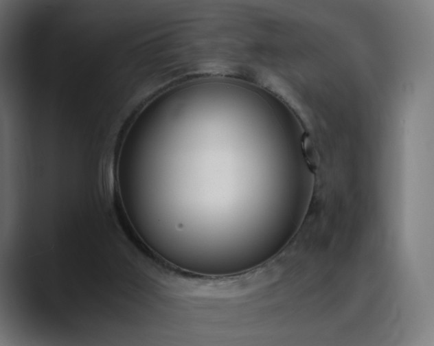 X0000089830011200706281220