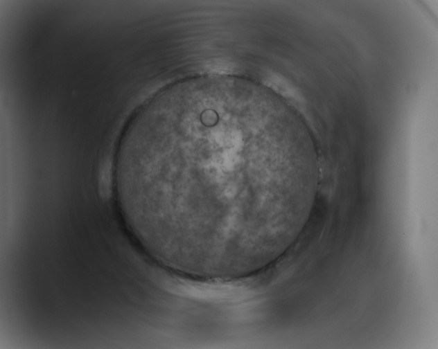 X0000089830012200706281220