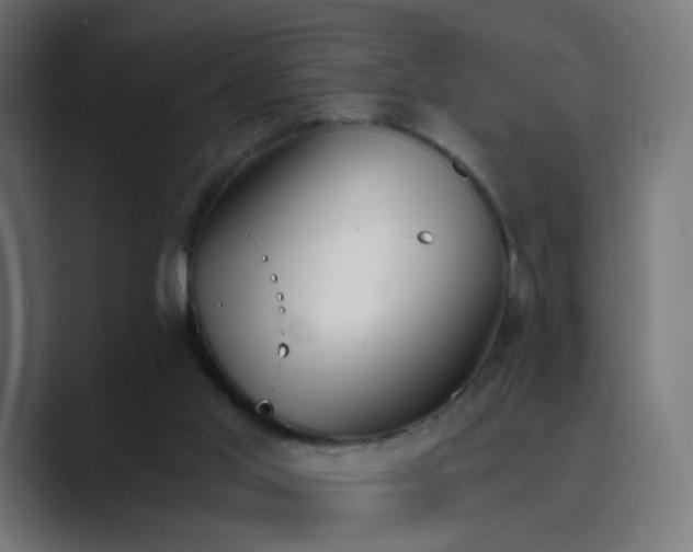 X0000089830013200706281220