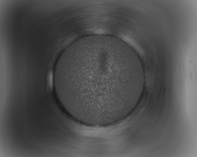 X0000089830014200706281220
