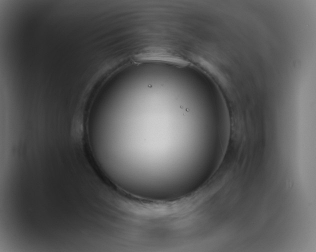 X0000089830015200706281220