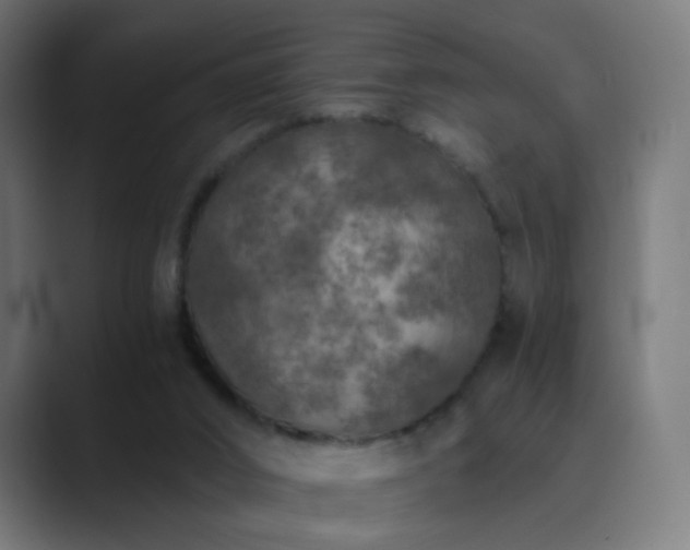 X0000089830016200706281220