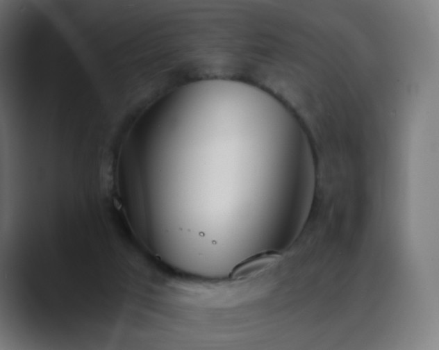 X0000089830017200706281220