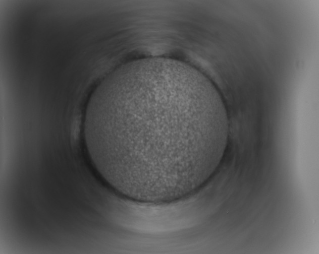 X0000089830018200706281220