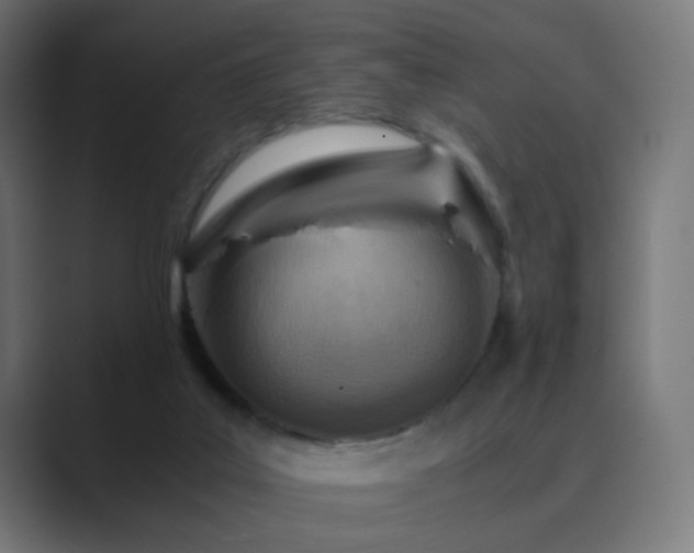 X0000089830019200706281220