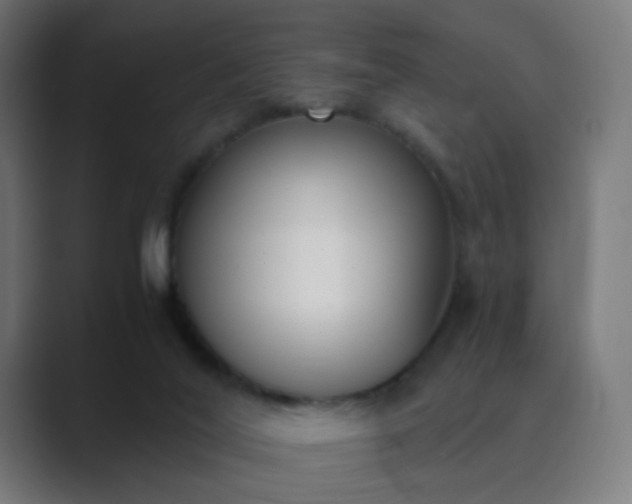 X0000089830020200706281220