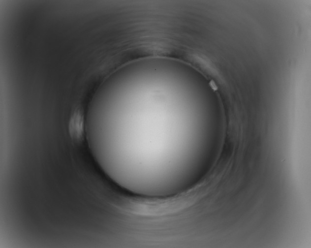 X0000089830021200706281220