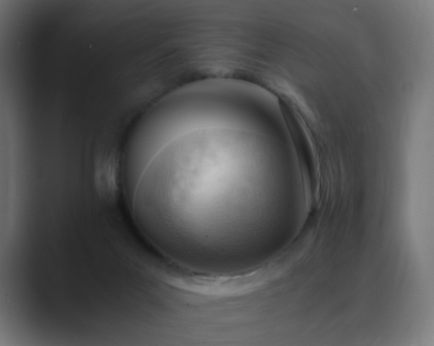 X0000089830023200706281220