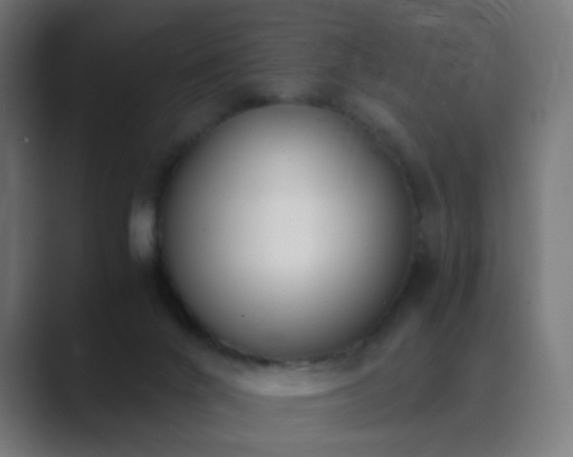 X0000089830024200706281220