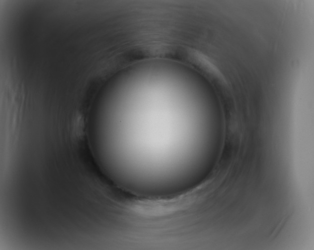 X0000089830025200706281220