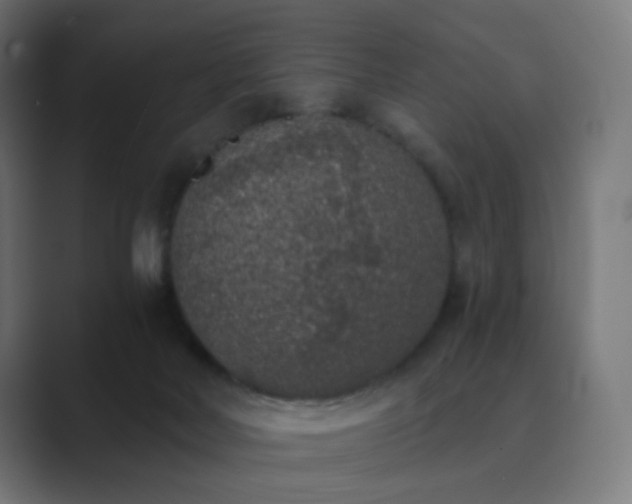 X0000089830026200706281220