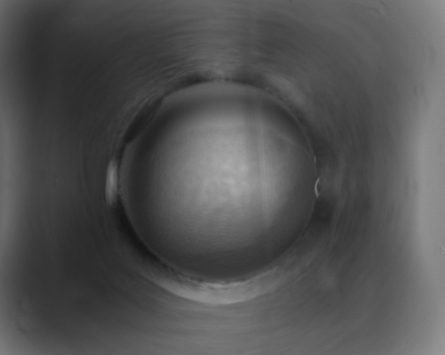 X0000089830027200706281220