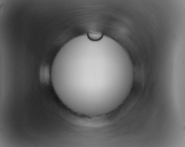 X0000089830028200706281220