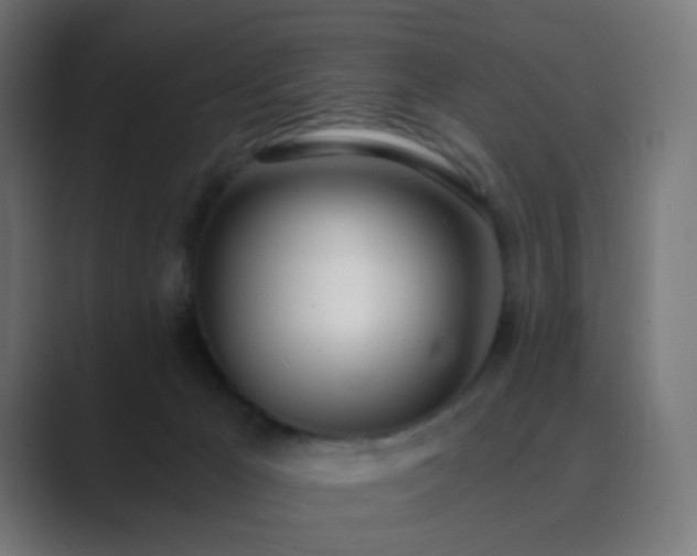 X0000089830029200706281220